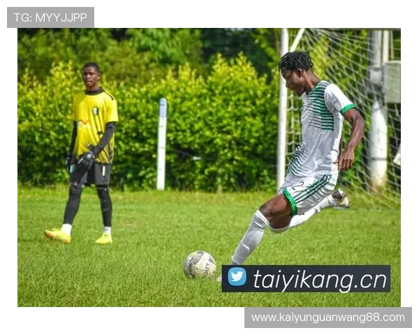 Kaiyun开云手机登录界面常见问题及解决方案，确保顺畅登录体验