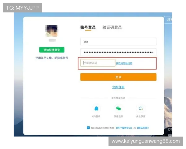 开云体育入口登录：确保账号安全的登录验证与密码保护措施