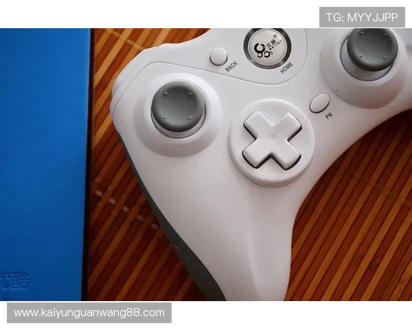 开云com官方网站最新登录入口全面指南帮助玩家顺利进入游戏体验最佳娱乐体验