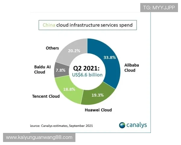 开云ping赚钱途径全面解析，教你利用平台资源实现持续盈利