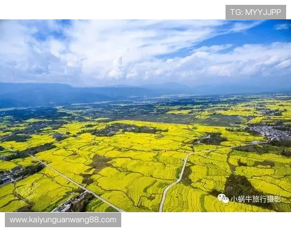 开云真人体育用户评价与反馈汇总帮助新玩家做出明智选择